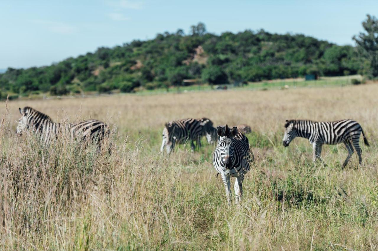 Thaba Eco Hotel Johannesburg Exteriör bild